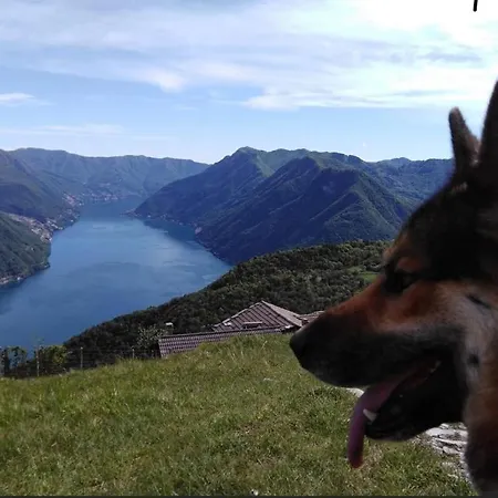 Feriegård Le Casette Di Laila Colonno