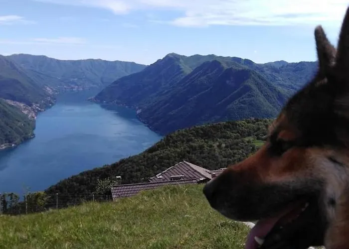 Farm stay Le Casette Di Laila Colonno